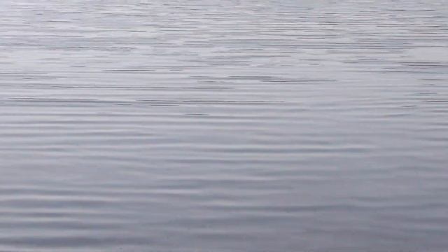 Лесное озеро . Латвия. смотреть онлайн