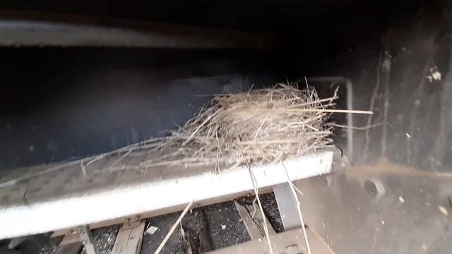 РЖД Немного ремонта и прекрасные находки смотреть онлайн