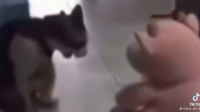 Как видит эль примо... как видит робот???? смотреть онлайн