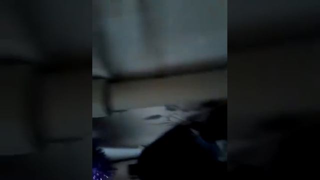 Как правильно и где вешать мишуры смотреть онлайн