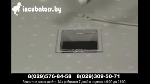 Инкубатор бытовой 63 яйца Идеальная наседка (автоматический поворот яиц 220В)