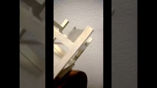 Мышата акомисы смотреть онлайн