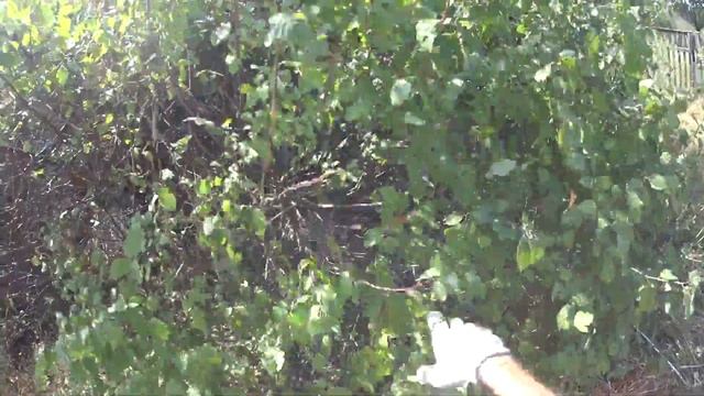 Carver 52-18 /СЛОМАЛ НАКОНЕЦ-ТО