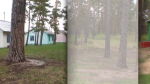 Курорты Зауралья. Санаторий Сосновая роща Зауралье Курганская область