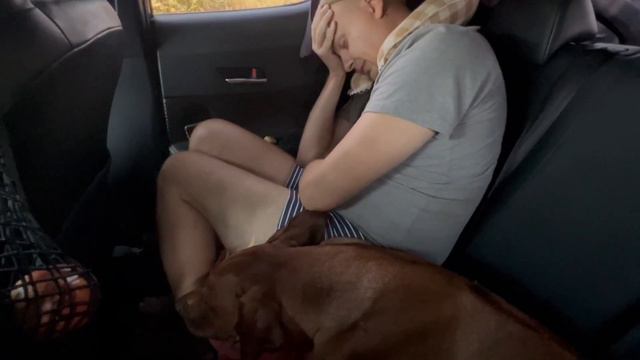 Скорая помощь за границей: Наш опыт заболевания в Таиланде смотреть онлайн