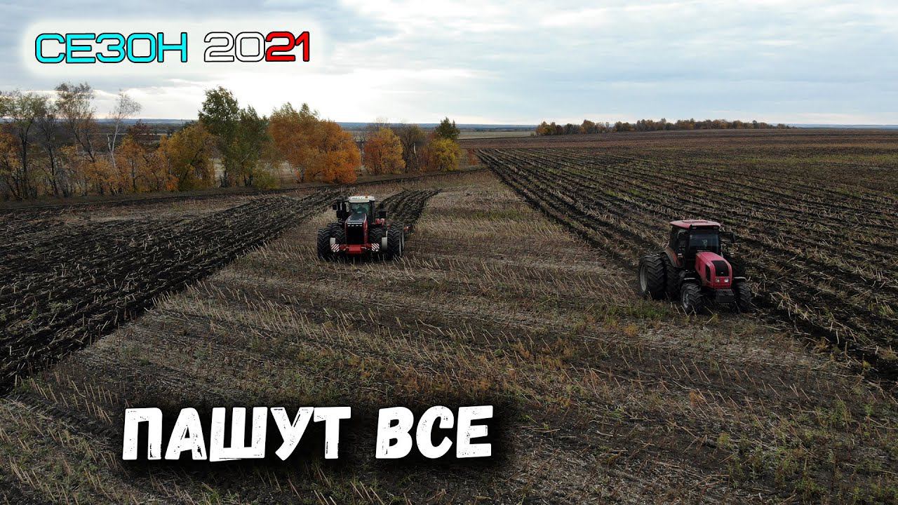 Чизелим подсолнечник на РСМ 2375, МТЗ 2022 и МТЗ 1221 смотреть онлайн