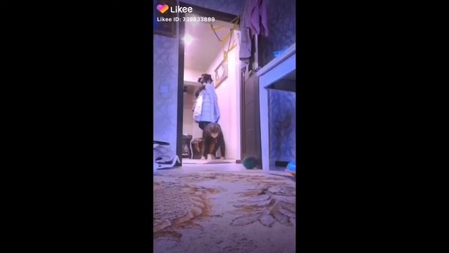 квадробика, Quadrobics, подборка видео из лайки (Likee) по квадробике, смотреть онлайн