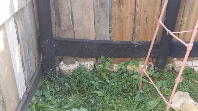 Баня термос из старых досок за 40 тысяч рублей