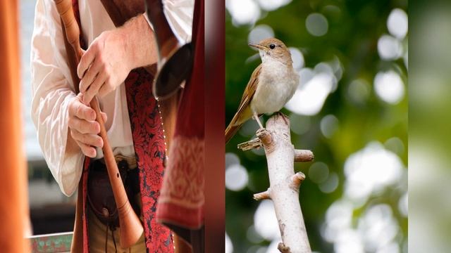 Басня Кукушка ? // Измайлов А.Е. // ? урок литературы смотреть онлайн