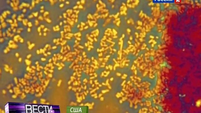 Энергия из унитаза: мы смываем то, что может нас спасти смотреть онлайн