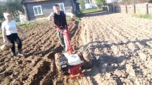 Садим картошку мотоблоком мтз 09