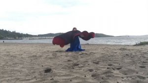 Windy cloak and blue dress
