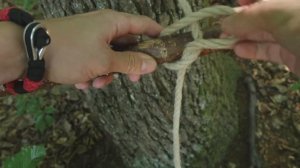 веревочная лестница