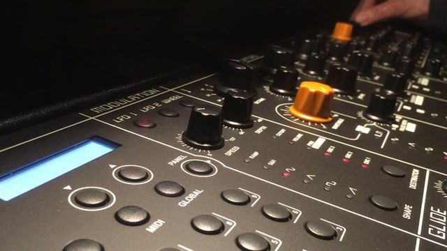 Exposition - Studiologic Sledge Ambient смотреть онлайн