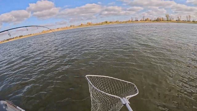 РАЗДАЧА судака Третий день НА ВОДЕ ЛОВИМ около моста КАЛАЧ-на--ДОНУ смотреть онлайн