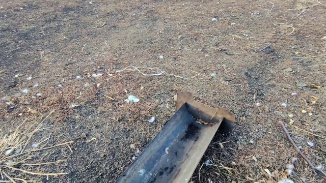 КОРМИМ ОВЕЦ ! смотреть онлайн