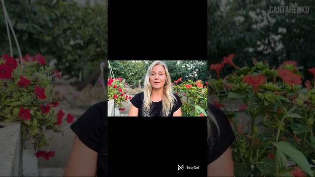 Антропный принцип науки. Рай на земле ДЛЯ ЧЕЛОВЕКА! смотреть онлайн