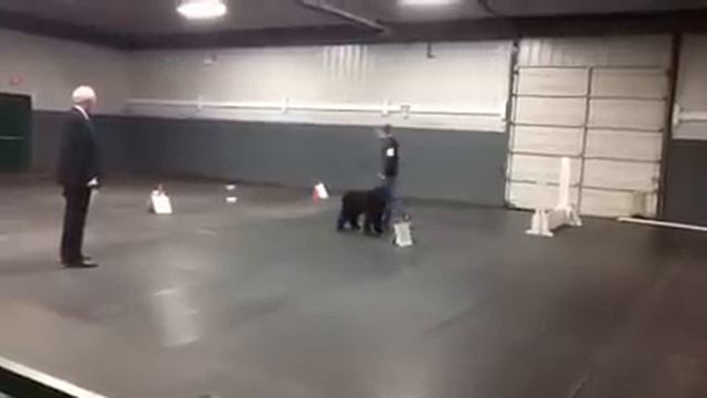 Finn - Rally Advanced смотреть онлайн