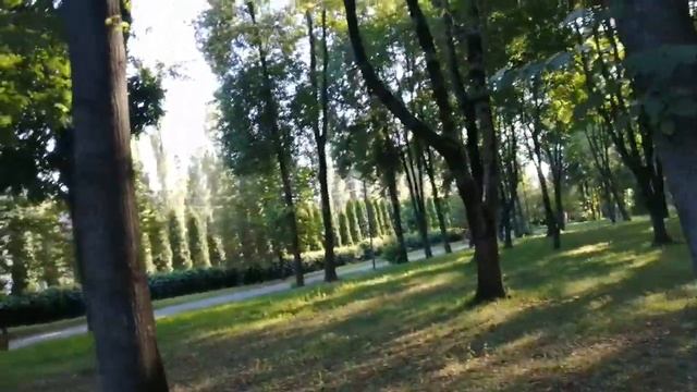 Где укрыться в знойный день?/жара в городе! смотреть онлайн