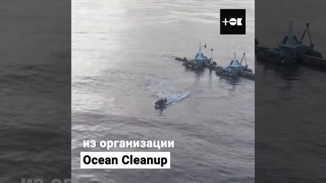 7 Мусорный континент гигантское пятно из пластика угрожает Тихому океану ТОК 1 смотреть онлайн