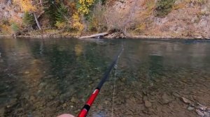 РЫБАЛКА НА ХАРИУСА В ГОРНОМ АЛТАЕ. РЕКА УЙМЕНЬ