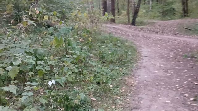 природа смотреть онлайн