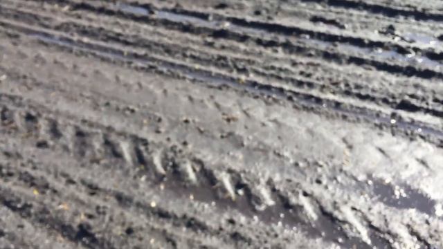 10.04.2018 год. Первая подкормка Чеснока Любаша селитрой смотреть онлайн