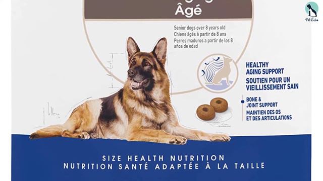 ✅ Top 5 Best Dog Food for Pitbulls of 2023 смотреть онлайн