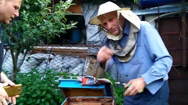 МАТОЧНОЕ МОЛОЧКО либо КОРОЛЕВСКОЕ ЖЕЛЕ прямиком из пасеки Валерия смотреть онлайн
