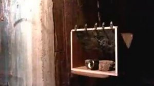 Stoeger X20 на 60 метров