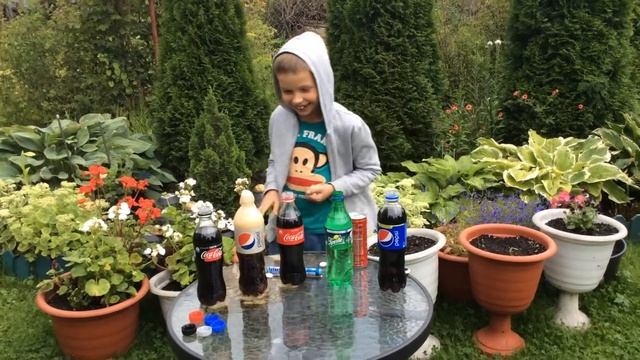 Домашний красавчик