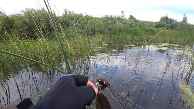 Летний сезон закрыл.30 августа 2023.