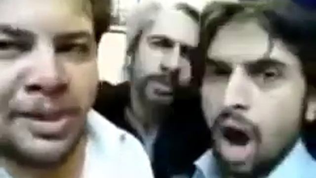 Смешная песня голосами собак смотреть онлайн