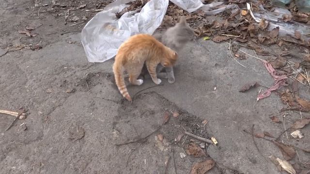 VLOG Когда я была с мамой в больнице Даша снимала смотреть онлайн