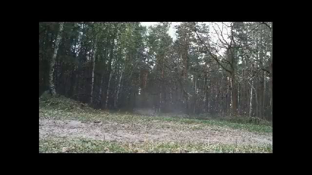 Suzuki RMZ 450!!!!!!!