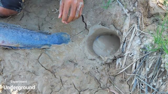 Amazing Fishing Technique - Unbelievable Fishing Catch Fish From Underground Hole With Snake смотреть онлайн