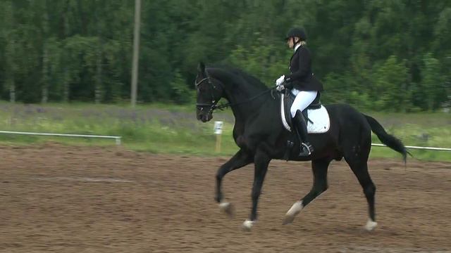 Нижегородский ипподром. Выездка. Инна Павлова - Эзоп смотреть онлайн