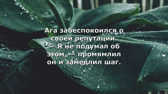 Притча о Насреддине "Обстоятельства изменяют доводы" смотреть онлайн