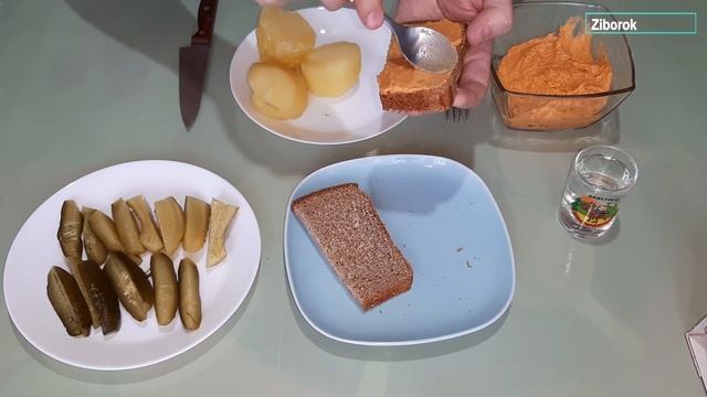 Наука о Животных и их Поведение