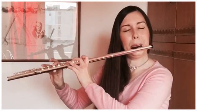 Wooden VS Silver Lip Plate (Trevor James Flutes, silver Virtuoso model) смотреть онлайн