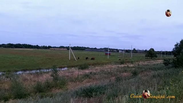 КТО ЖИВЕТ НА ОСТРОВЕ ЧЕРНОГО МЕДВЕДЯ~(8 МИНУТ ПОЛЕТ НОРМАЛЬНЫЙ) смотреть онлайн