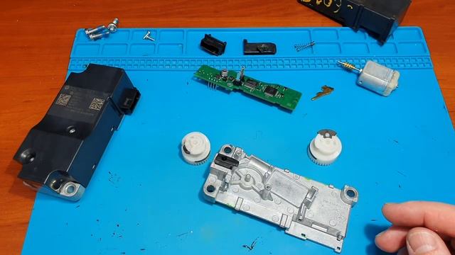 Молодые питонисты-мастера