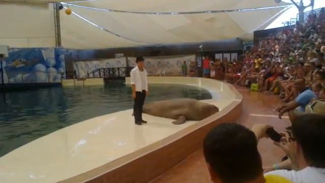 Невероятный Майкл Джексон смотреть онлайн