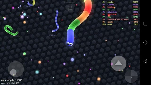 Занял первое место в Slither. Io