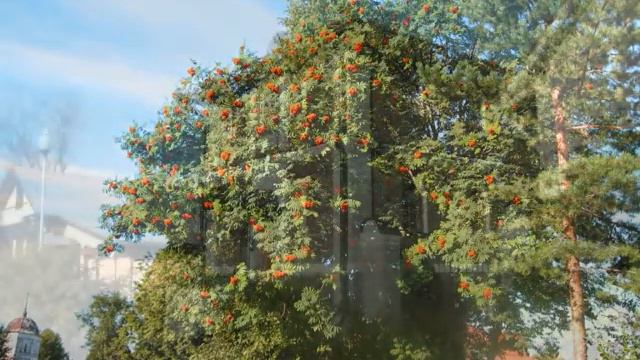 фотопрогулка по древнему граду Суздалю смотреть онлайн