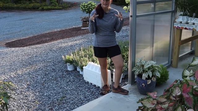 Caladiums & Containers Oh My! | Gardening With Creekside