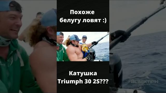 #shorts Похоже белугу ловят смотреть онлайн