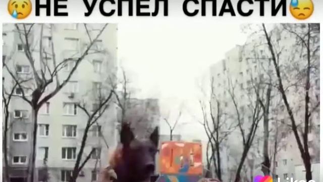 Спас ребёнка от смерти смотреть онлайн