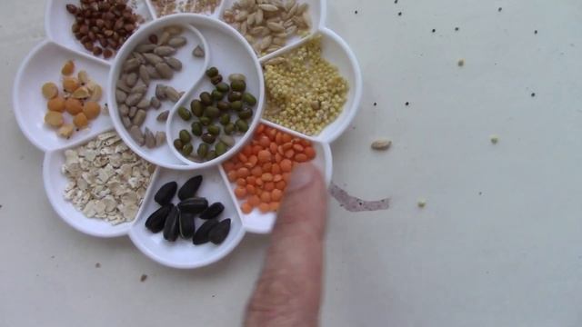 Кулинарные вкусы голубя 