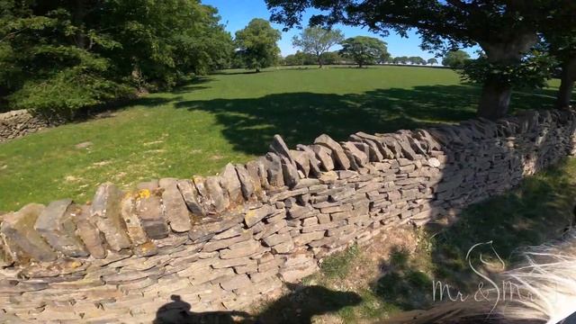 When Mrs T Took Thor for a gallop and Won (feat. Bootstrap Bill) смотреть онлайн